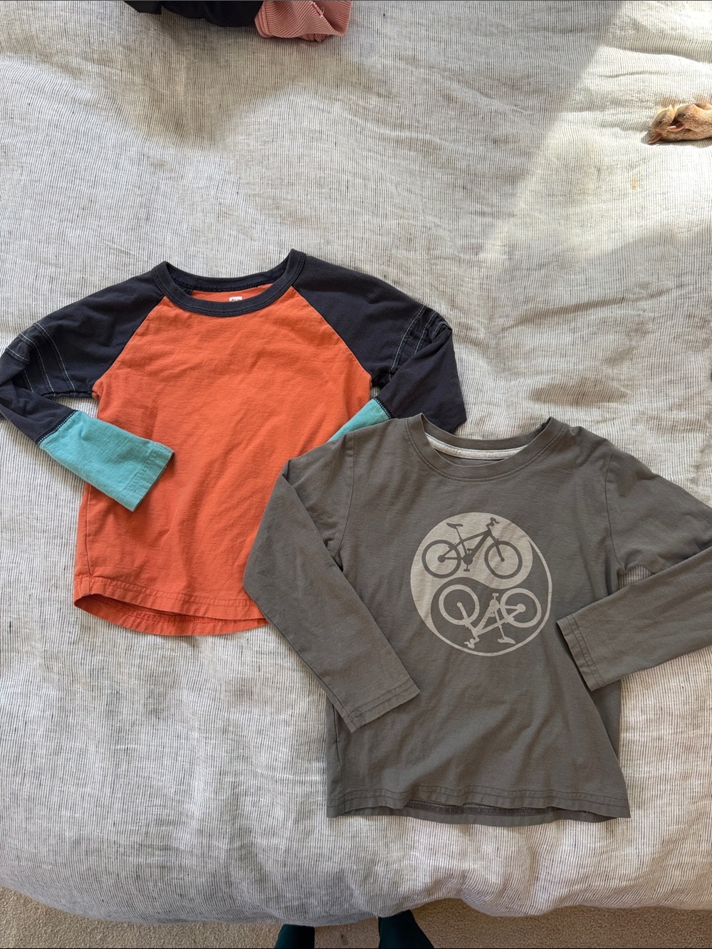 Tea Collection t-shirts